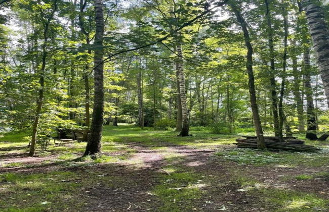 Getaway With Covered Veranda - Photo 30