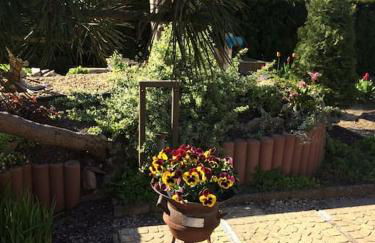 Ferienhaus am Mescheriner See - Photo 39