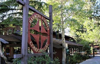 Mammoth Estates 233 - Foto 28