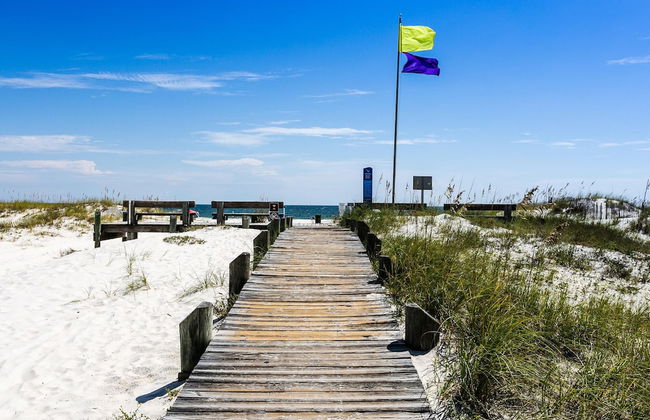 Three C's by SVR - Foto 2