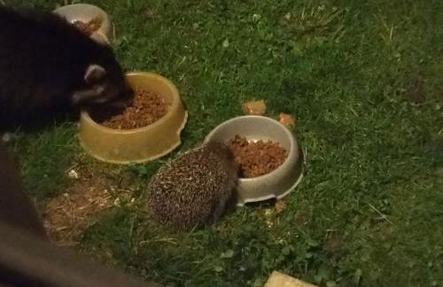 Gite de la Pierre Bleue, Authentique Maison à la campagne - Foto 39