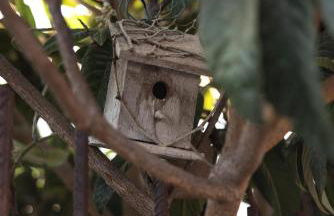 Casa Jacinta con jacuzzi - Foto 22