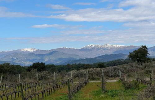 Refugi de l'Albera - Foto 19