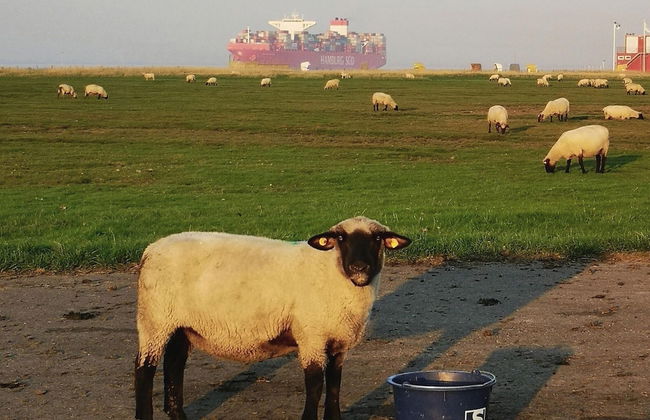 Comfort Steps From the North Sea - Foto 17