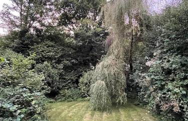 Crannog House - Foto 6