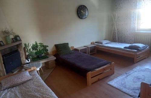 Owocowa Chojnata - Foto 54