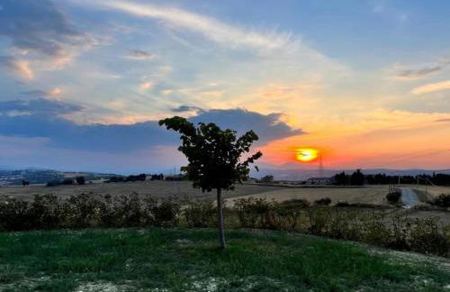 Villa Escape Near Etang de Thau - Foto 80