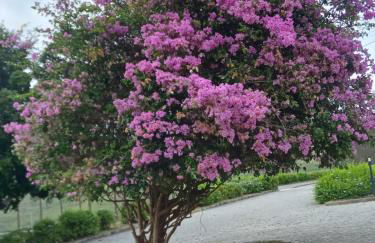 Flat studio monte castelo gravatá PE - Foto 11