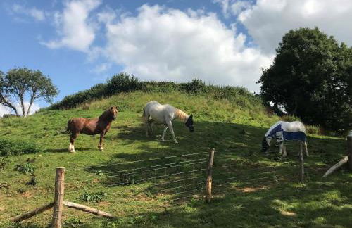 The Shepherds Snug - Photo 26