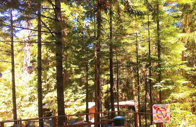 Redwoods River Resort - Foto 52