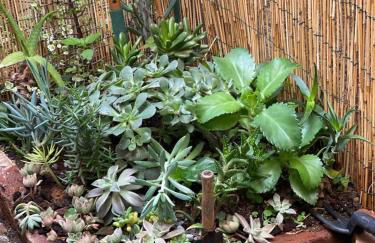 Le Taverne Appartement - Foto 33