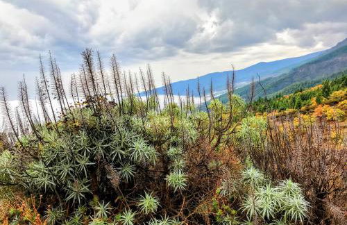 Apartamento Los Picachos, Poris de Abona - Foto 72