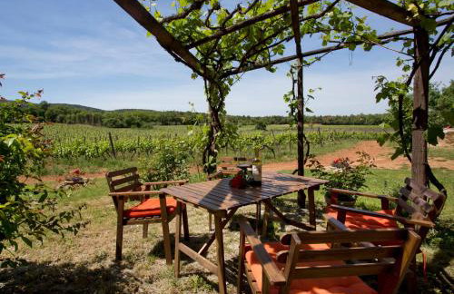 Agriturismo Novelleto - Foto 113