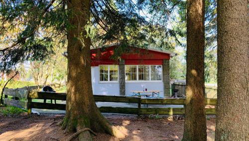 Ferienhaus Baude Steinheid am Rennsteig mit 2 Schlafzimmern max 12 Personen - Foto 2