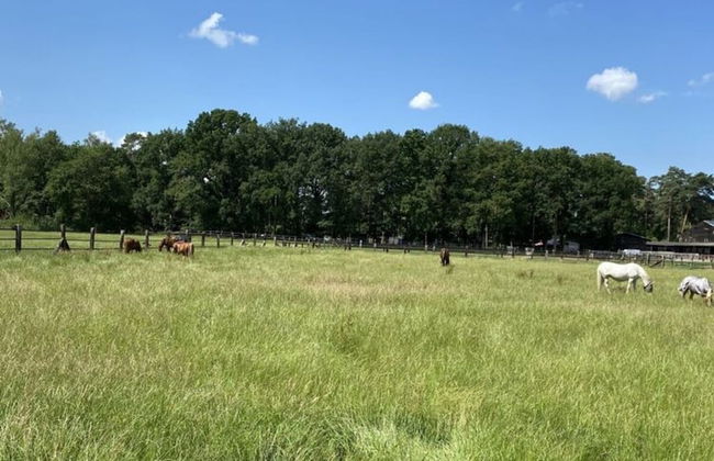 Holiday Home Schwalm - Foto 20