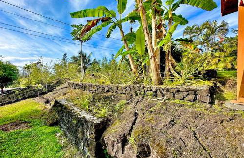 Puna Zen Botanical Garden Retreat - Foto 44