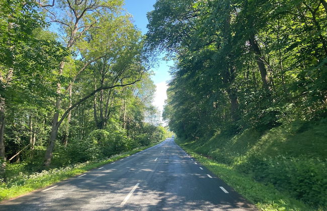 Great Location, Great Price! - Foto 15