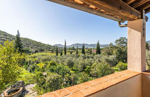 Case Vacanza Filetto a Marina di Campo - Foto 32