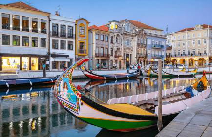 Bird’s Home - Foto 54