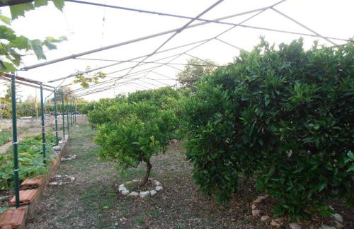 Jenny`s House - Photo 30