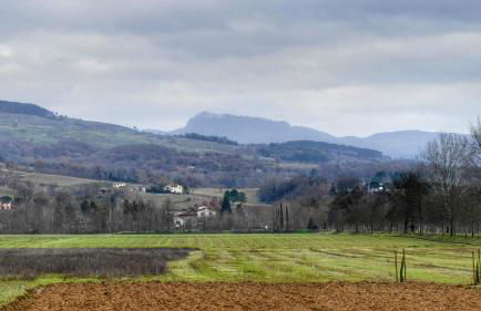 Agriturismo Casa Agricola Rossi Appartamenti in Casentino - Foto 79
