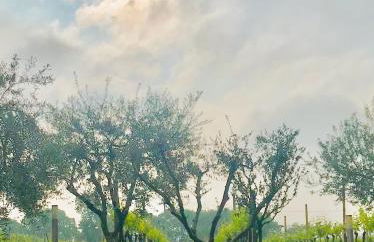 Residenza Eden - Foto 24