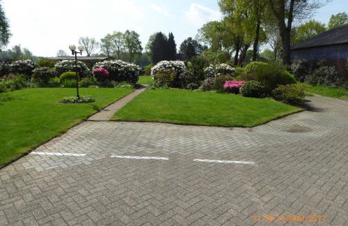 Schmidtfewo Moorgeist - Foto 24