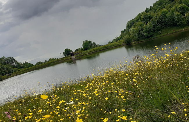Room in Guest Room - Healthy Retreat Holiday in Mountain - Foto 69