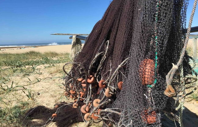 Cozy House Near the sea - Photo 29