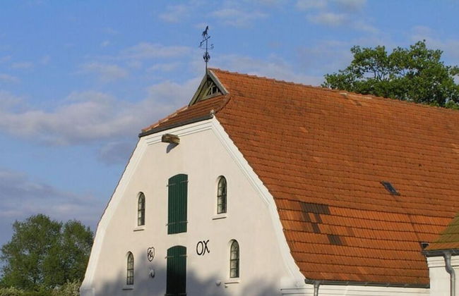 Northern Lights Modern Retreat - Photo 29