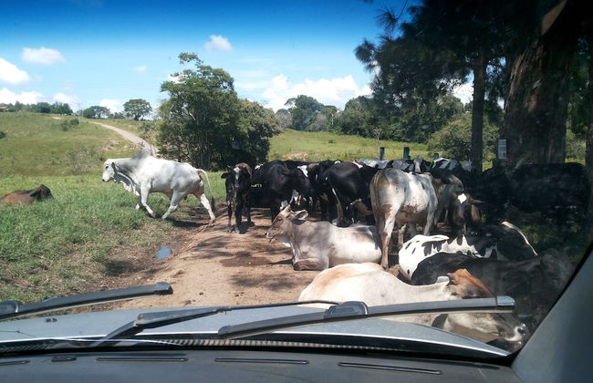 Hotel Fazenda Estancia Torre De Pedra - Foto 2