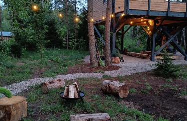 Zdalnie z Lasu - Siedlisko w Puszczy Białowieskiej - Foto 29