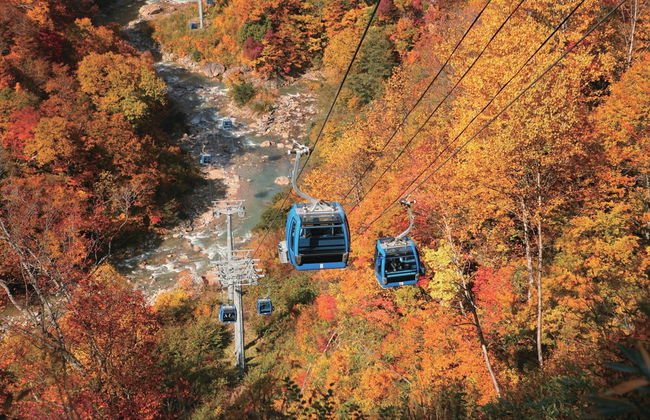 Naeba Prince Hotel - Photo 67