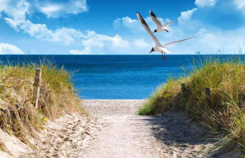 Resort 2 Ferienhaus Typ D 122 - Photo 39