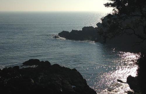 Bay View, Millendreth Looe Cornwall - Foto 13