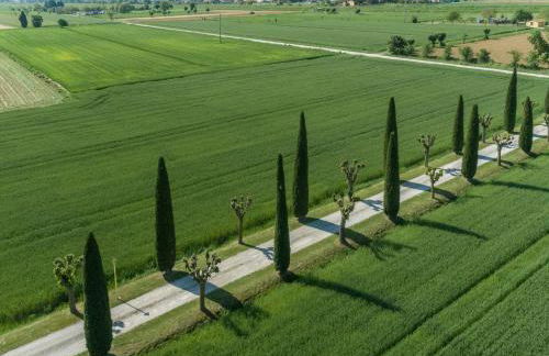 Casa Carlotta - Photo 6