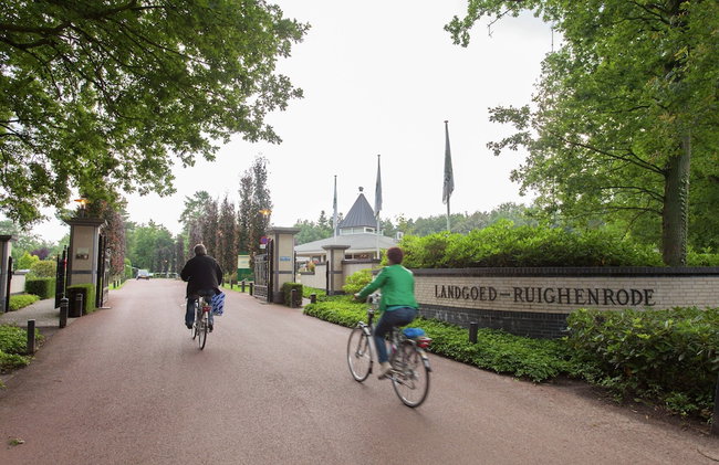 Comfortable Wooden Chalet in the Achterhoek - Foto 14