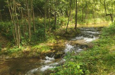 Nad Potokiem z Alpakami - Foto 36