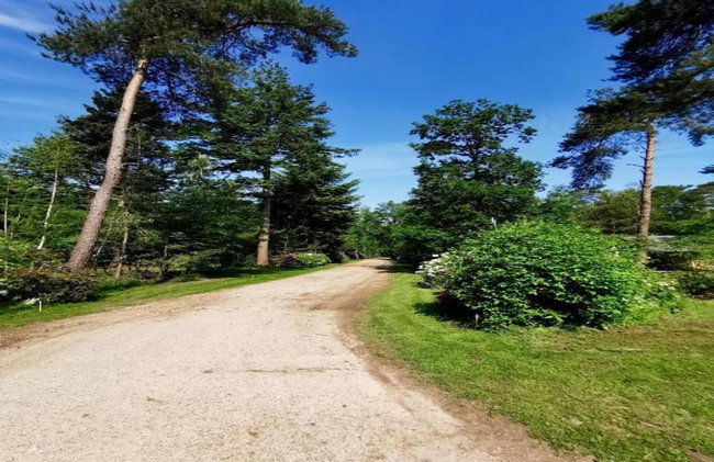 Holiday Home in Holten Near Lake Ijssel - Foto 32