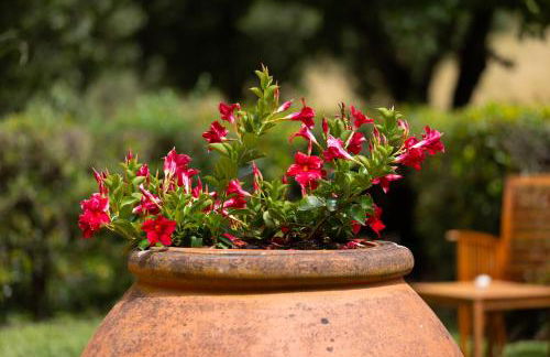 Villa Olea - Foto 61