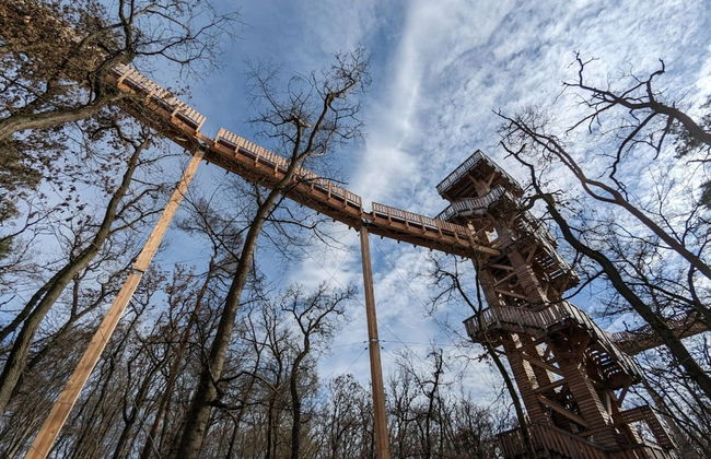 Apartment In Bad Camberg With Terrace - Foto 36
