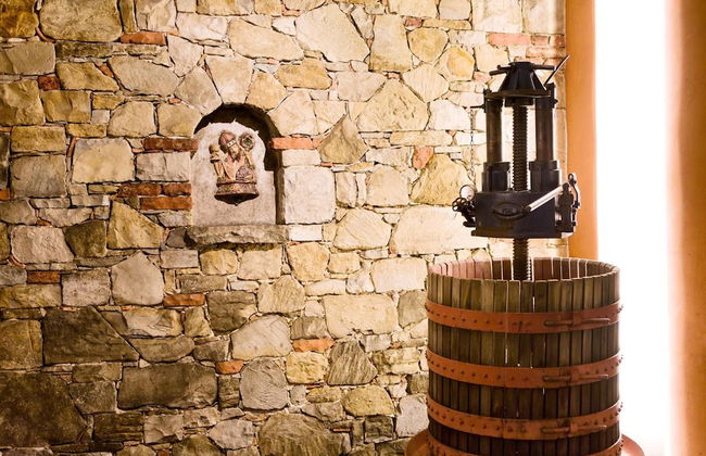 L'Uva e le stelle - Foto 28