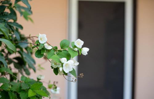 Pyramisa House Free Shuttle From And To Athens Airport By SEM - Foto 23