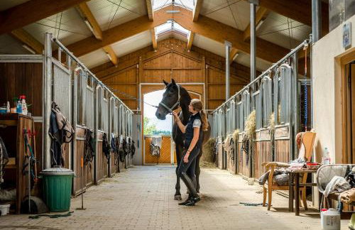 Ferienwohnungen Gut Fasanenhöhe - Photo 8