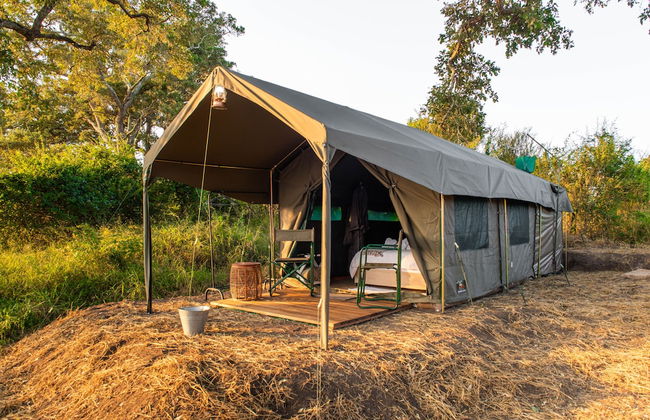 Kruger Untamed - Tshokwane River Camp - Photo 5