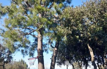 CASA GIO' GIO' - Foto 17