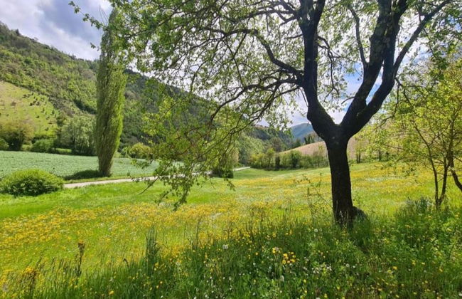 Farmhouse in Giano Dell'umbria with Hot Tub, Swimming Pool - Foto 36
