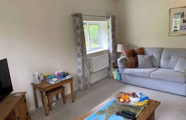 Plas Penaeldroch Manor - Foto 17