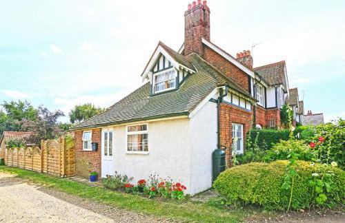 Hollyhocks - Photo 1