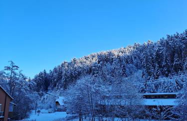 Les Papillons - Foto 14